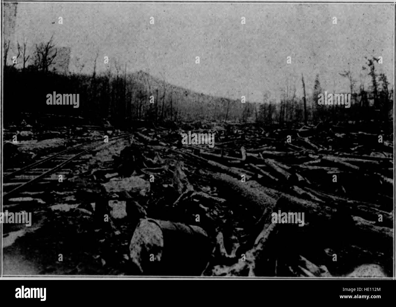 Bollettino (Pennsylvania Dipartimento delle foreste e delle acque), n. 33-35 (1923) Foto Stock