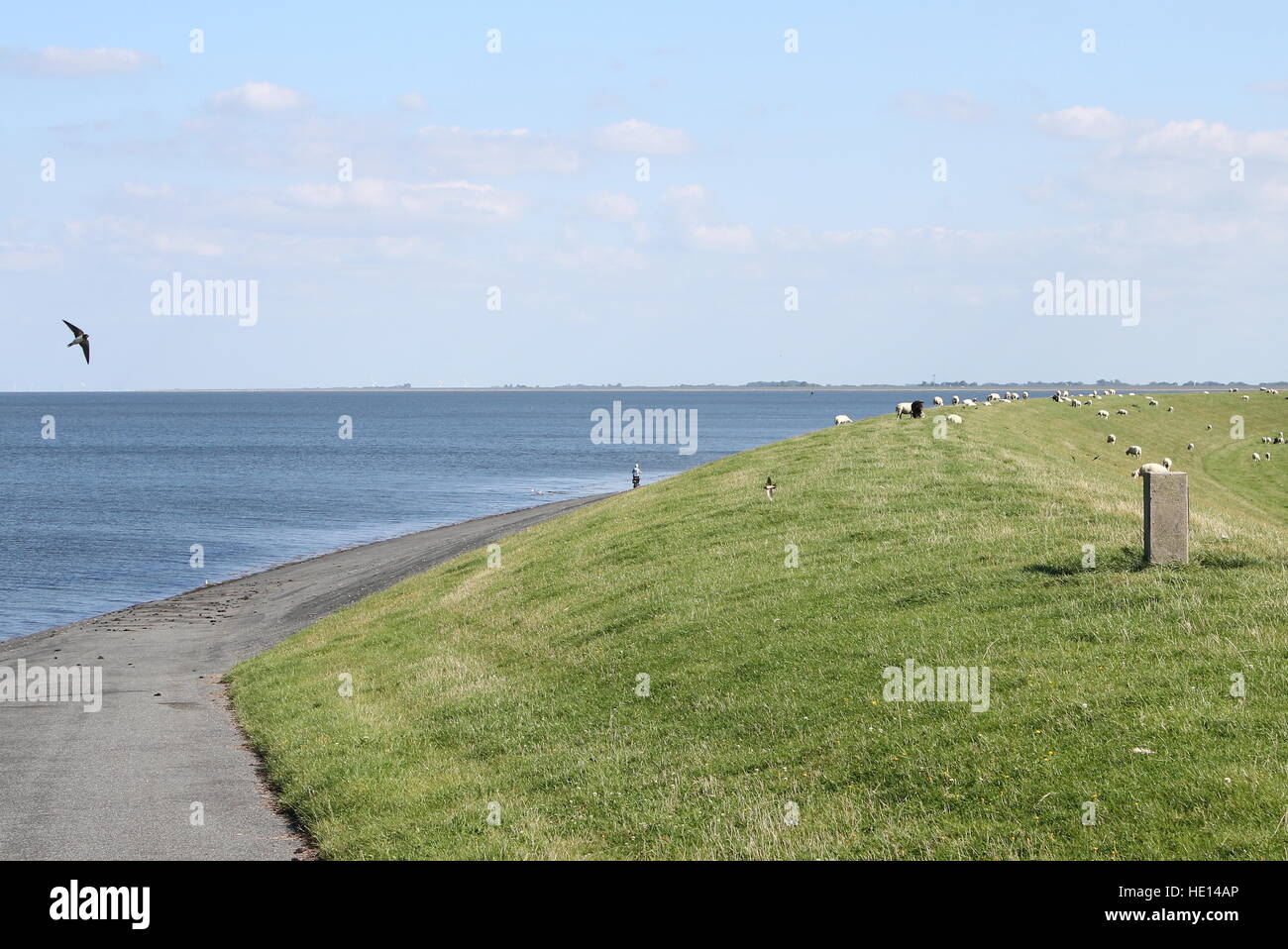 Il Wadden Sea costa vicino Lauwersoog, Friesland, Paesi Bassi Foto Stock