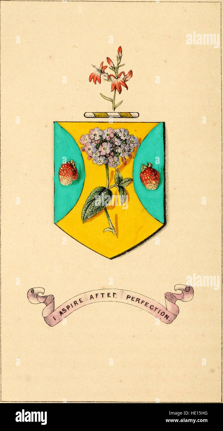 Fiori e araldica; o, emblemi floreali e figure araldiche, combinati per esprimere sentimenti puri, tipo i sentimenti e ottimi principi (1851) Foto Stock