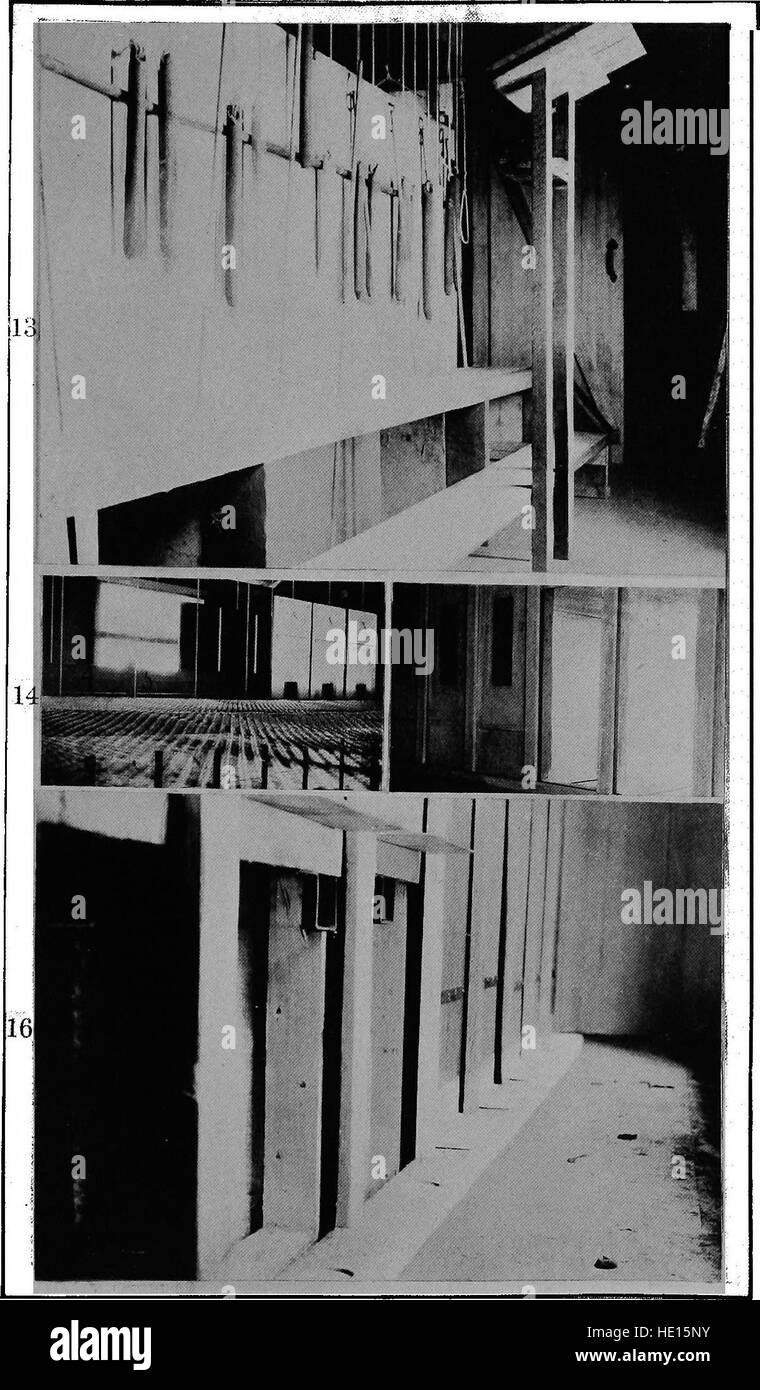 The Mental Life of Monkeys and Apes (1916) esplora i modelli cognitivi e comportamentali dei primati, concentrandosi sui loro comportamenti ideazionali e sullo studio dei loro processi di pensiero e intelligenza. Foto Stock