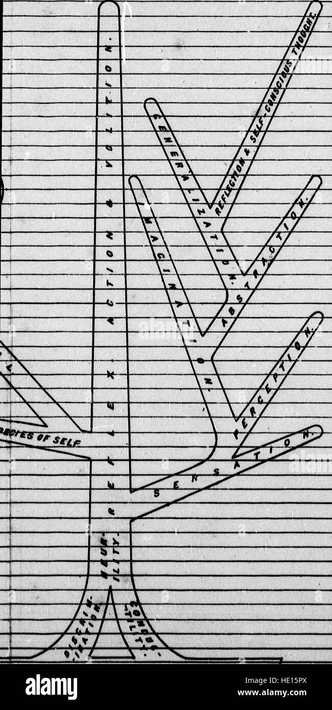 Questo lavoro del 1883 di George John Romanes, con un saggio postumo di Charles Darwin, esamina l'evoluzione della cognizione animale, esplorando lo sviluppo mentale e il ruolo dell'istinto nel comportamento. Foto Stock