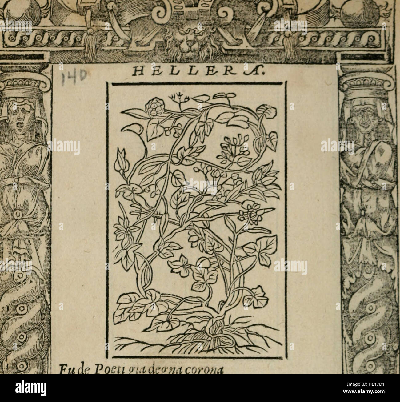Un testo storico del 1549, con una serie di versi morali. Il testo fa parte della letteratura italiana e offre approfondimenti sui valori morali e culturali del tempo, riflettendo su idee e temi filosofici diversi. Foto Stock
