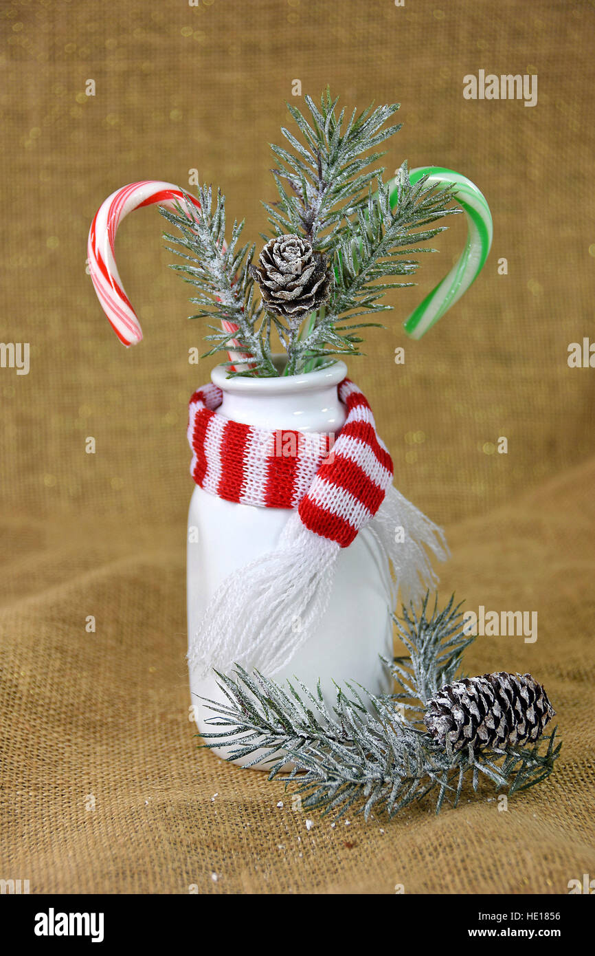 Natale candy canes e pino smerigliato in retro bianco bottiglia di latte con sciarpa invernale sulla tela spumanti Foto Stock