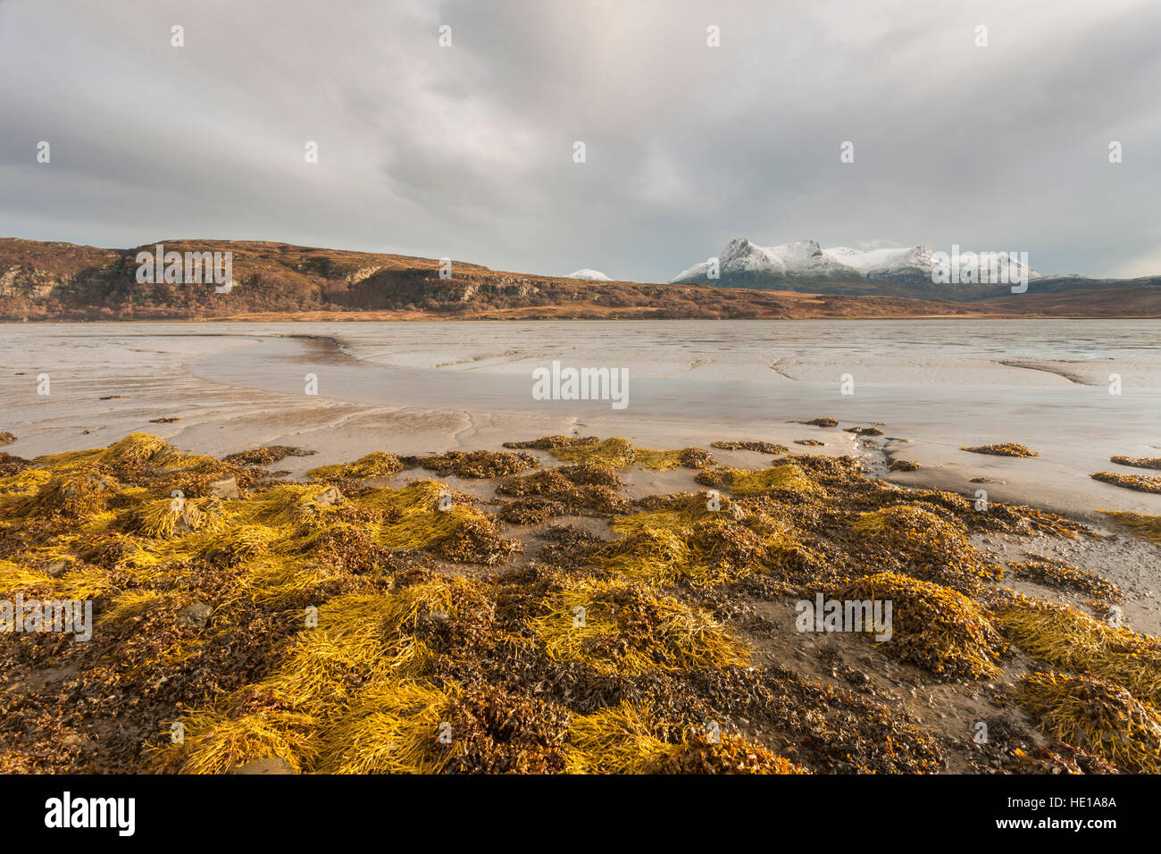 Una vista di Ben fedele, Sutherland, Scotland, Regno Unito. Foto Stock