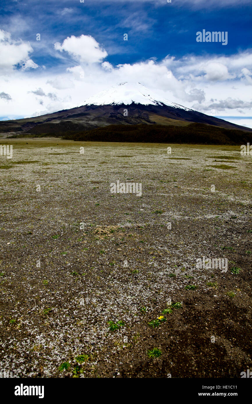 La cordigliera delle Ande in Ecuador Foto Stock