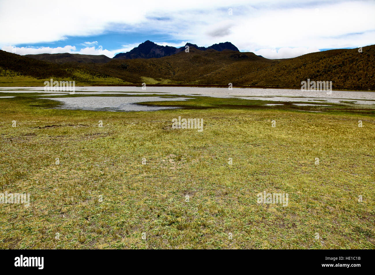 La cordigliera delle Ande in Ecuador Foto Stock