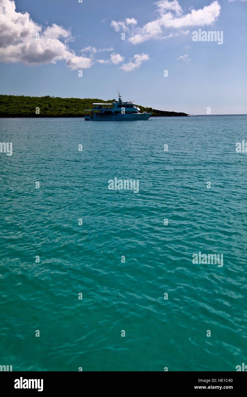 La vita marina in Isole Galapagos Foto Stock