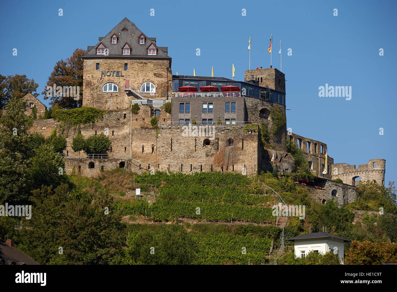 Rheinfels Castello, St. Goar, Renania-Palatinato, Germania Foto Stock