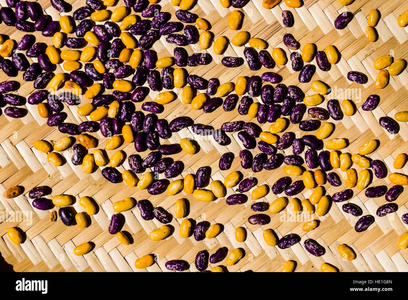 Giallo e viola i fagioli sono di essiccazione al sole su un tappeto intrecciato Foto Stock
