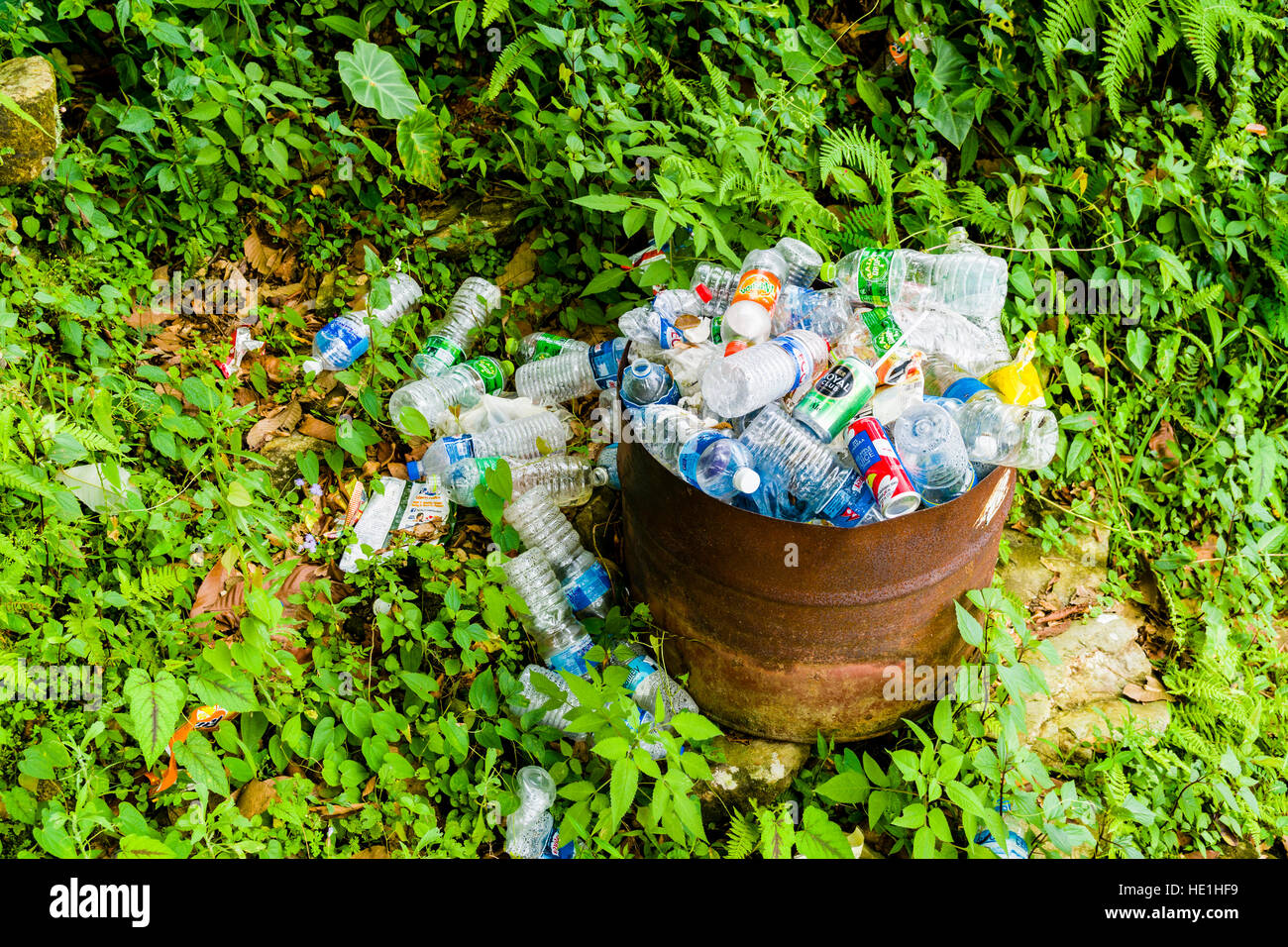 Garbage come le bottiglie di plastica vuote è raccolto in un riempito barile arrugginito, alcune bottiglie sul terreno Foto Stock