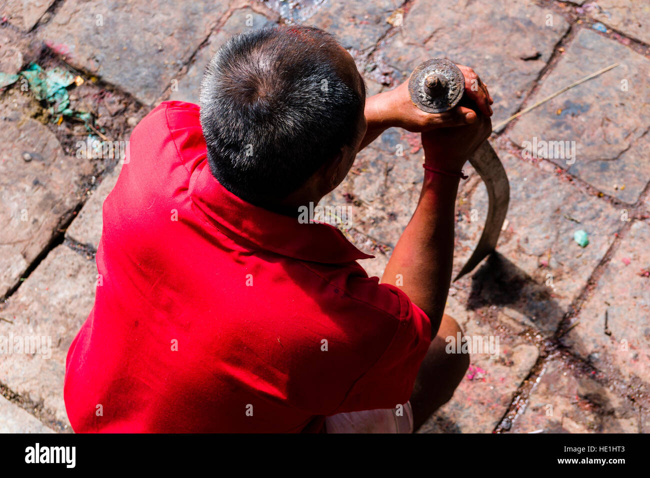 Un sacerdote è in attesa di una grande spada a sacrificare un bufalo indiano di acqua agli dèi presso il tempio di Gorakhnath presso il festival indù, darsain Foto Stock