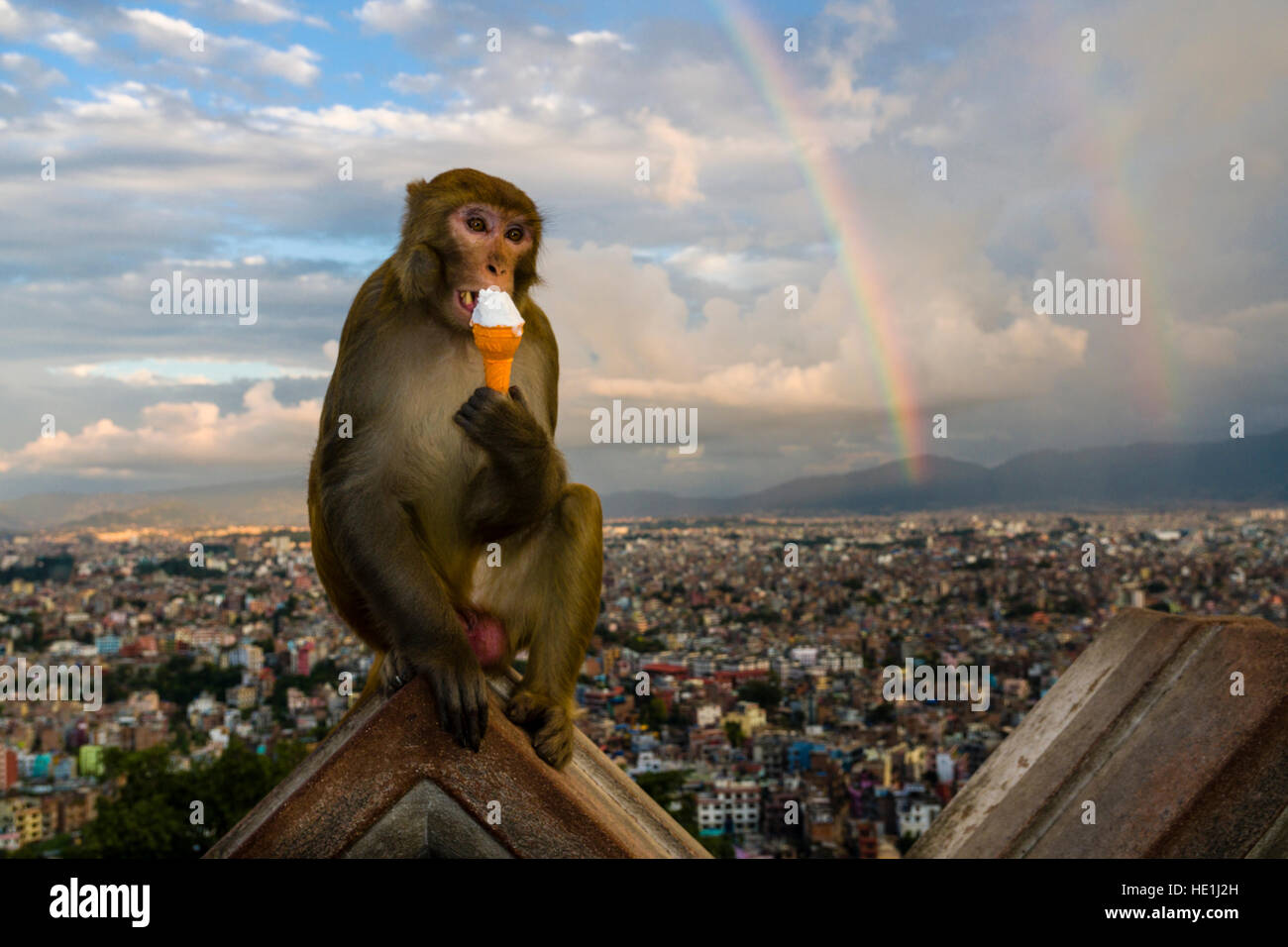 Una scimmia macaco rhesus (macaca mulatta), è seduto su una parete a swayambhunath temple, mangiare un gelato, vista aerea sulle case della città un Foto Stock