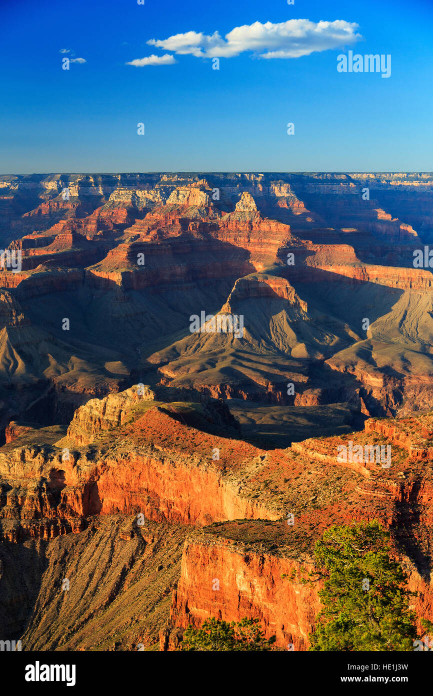 Un tardo pomeriggio vista verticale da Mather Point delle formazioni spettacolari nel Parco Nazionale del Grand Canyon, Arizona, Stati Uniti d'America Foto Stock