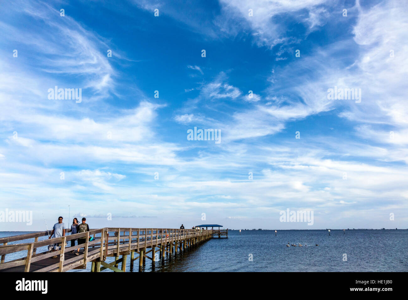 Florida, Sud, St. Petersburg, Porto di sicurezza, Old Tampa Bay Water, molo, visitatori viaggio di viaggio turismo turistico punto di riferimento cultura culturale Foto Stock