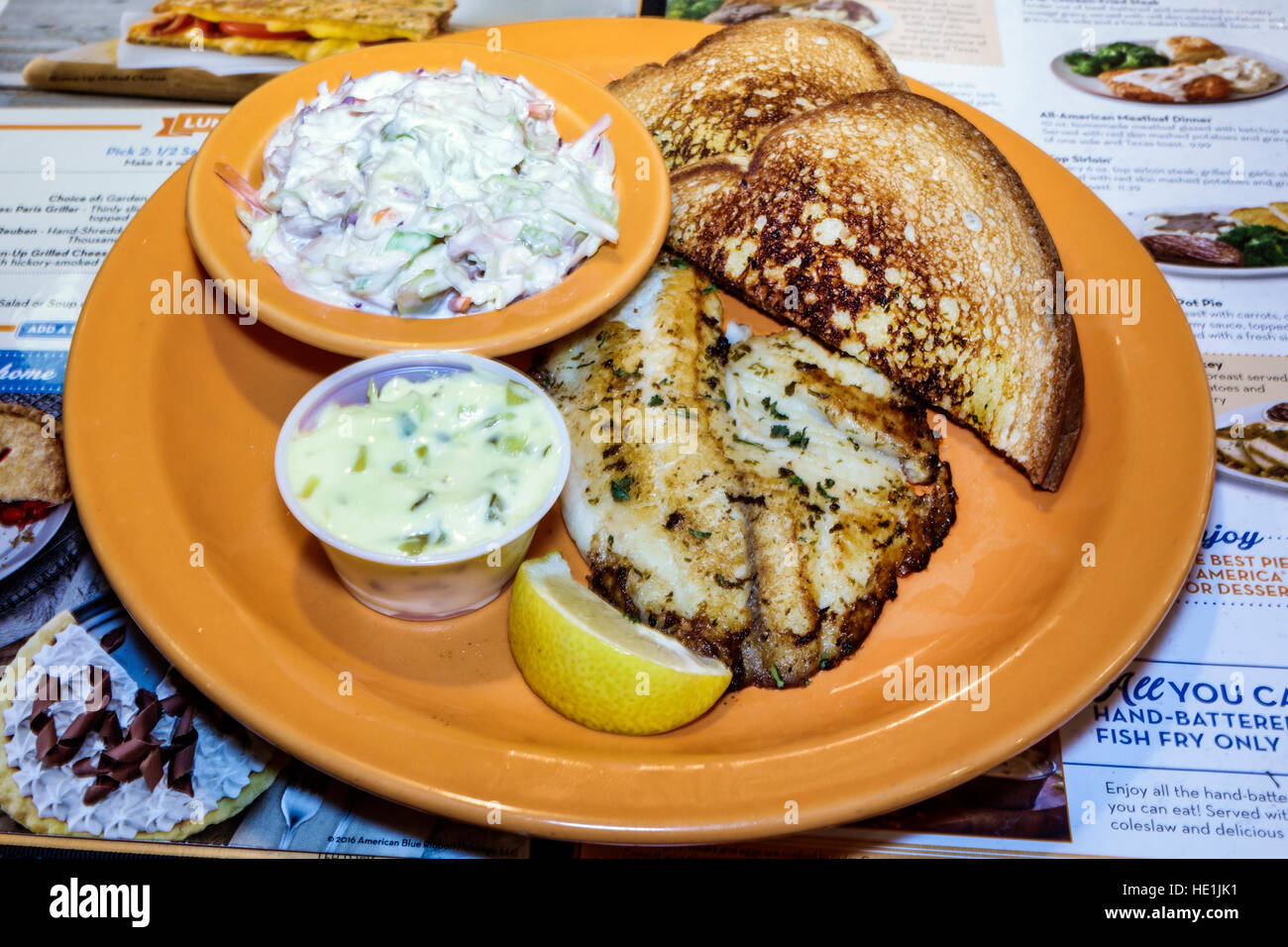 San Pietroburgo Florida, Seminole, Village Inn, ristorante ristoranti cibo mangiare fuori caffè caffè bistrot, interno, cena di pesce, Cole sla Foto Stock