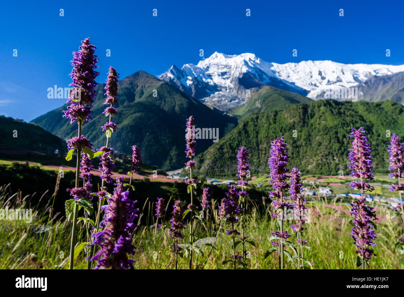 Paesaggio con cime di montagna 2 di Annapurna sollevandosi al di sopra di inferiore e superiore di pisang e tomaia marsyangdi valley Foto Stock