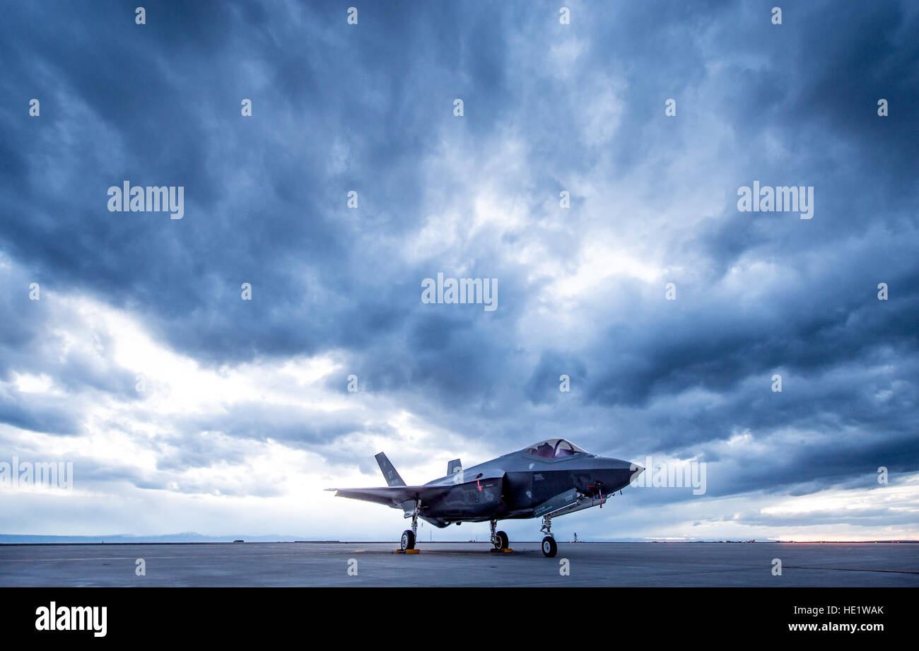 Un F-35A del trentunesimo il test e la valutazione del squadron, una unità locataria alla Edwards Air Force Base in California, è parcheggiato sulla linea di volo a casa di montagna AFB, Idaho, Feb 19, 2016. 6 Prova di funzionamento e valutazione F-35s e più di 85 avieri del 31 TES si recò a casa di montagna AFB per condurre la prima distribuzione simulata prova del F-35A, specificatamente per eseguire tre principali capacità operativa iniziale missione imposta: la soppressione delle difese aeree nemiche, chiudere il supporto aereo e di interdizione dell'aria. J.M. Eddins Jr. Foto Stock