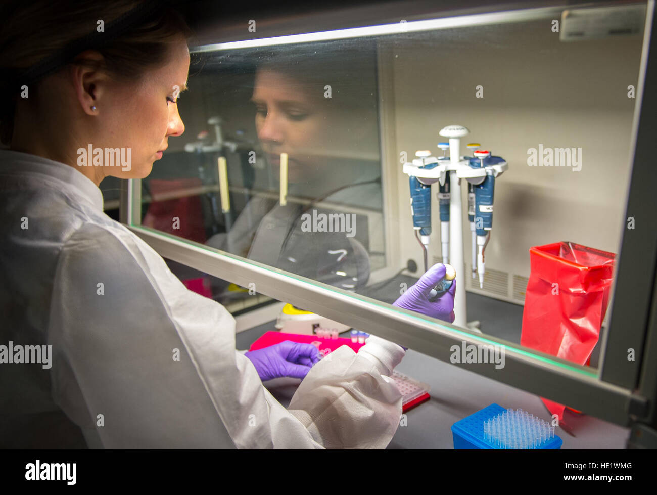 Marie Powell, supervisore generale, Diagnostica Molecolare, preleva i campioni durante la prova di campioni umani per il virus di Zika presso il Laboratorio di Epidemiologia a Wright-Patterson Air Force Base, Ohio, 20 aprile. Aedes si possono diffondere malattie gravi come la febbre dengue, febbre gialla, il Zika virus chikungunya e. Aedes zanzare sono visivamente particolari a causa della loro notevole nero e bianco marcature sul loro corpo e gambe. /Tech. Sgt. Brandon Shapiro Foto Stock