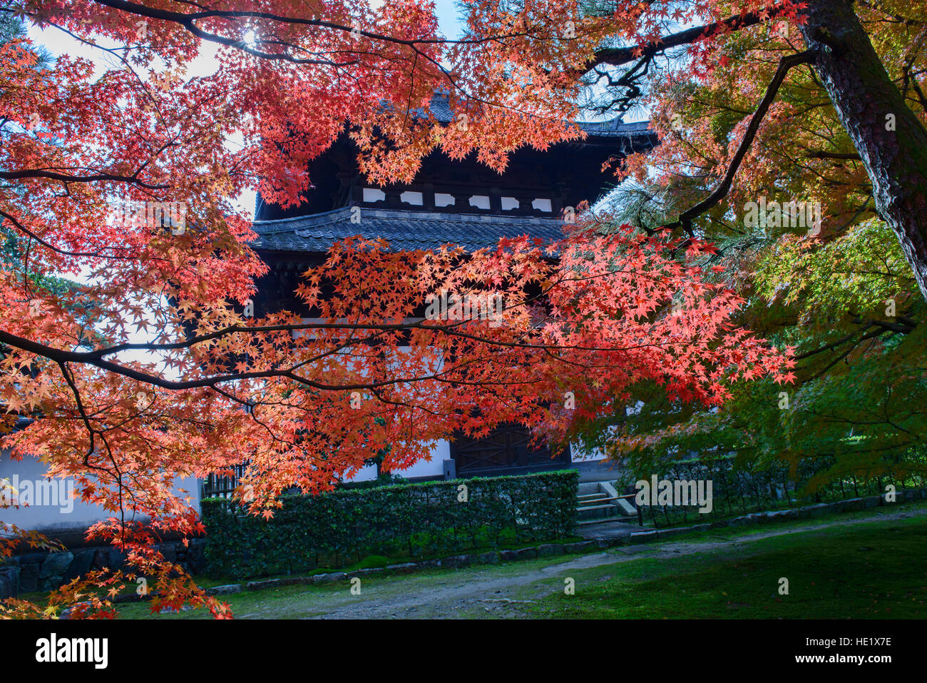 Foglie di autunno a colori alla Tofuku-ji, Kyoto, Giappone Foto Stock