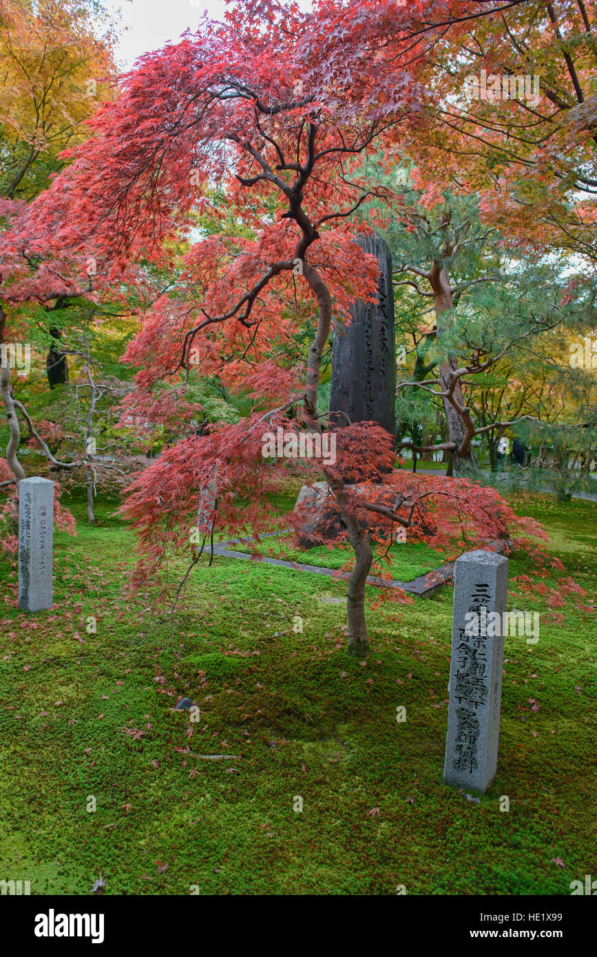 Incredibili colori autunnali a Tofuku-ji, Kyoto, Giappone Foto Stock