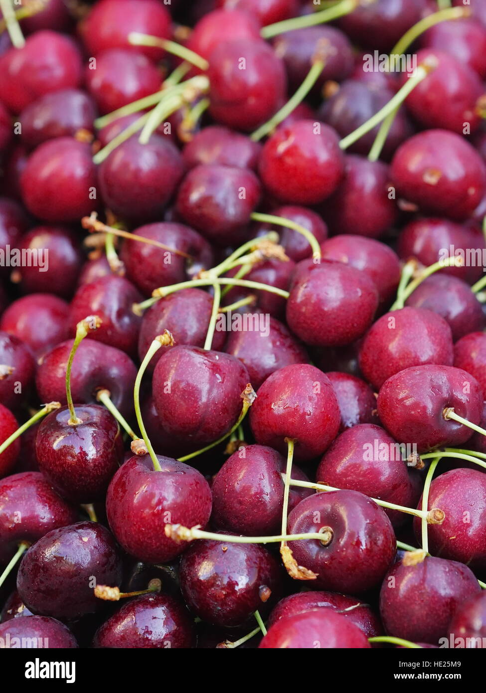 Le ciliegie organico di mercato Foto Stock