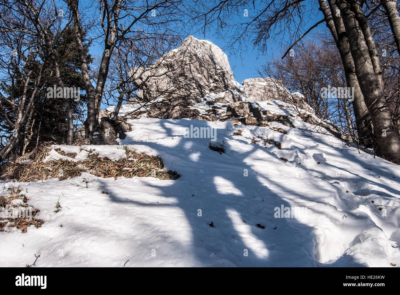 Ostra skala collina con neve, rocce, alberi e cielo chiaro nella parte meridionale di Mala Fatra montagne in Slovacchia durante il periodo invernale Foto Stock