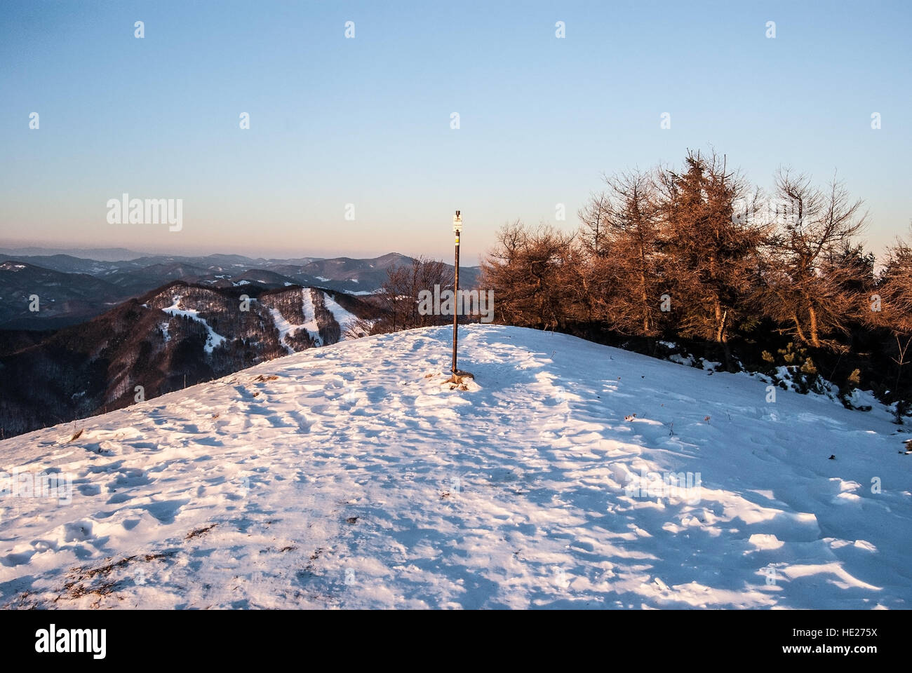Revan collina con neve, alberi e cielo chiaro nella parte più meridionale della Mala Fatra montagne in Slovacchia durante l inverno mattina Foto Stock