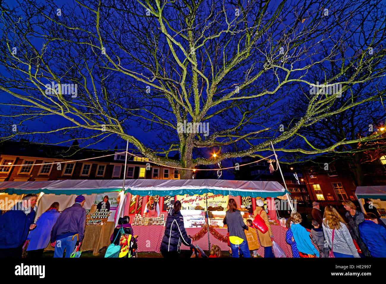 North Shields Victorian Xmas Fair illuminata di notte ad albero Foto Stock