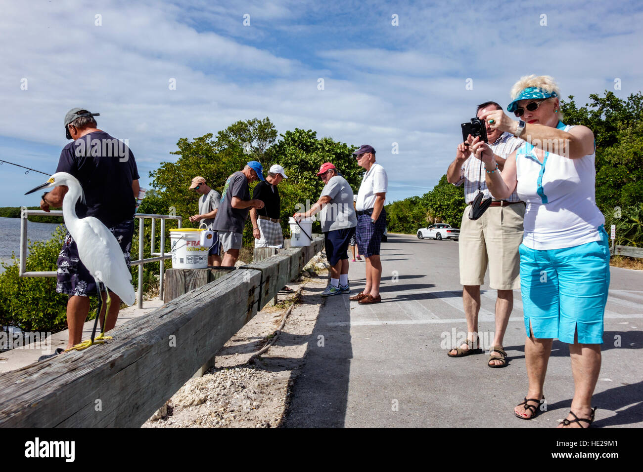 Florida, Sud, Sanibel Barrier Island, J. N. J.N. JN Ding Darling National Wildlife Refuge, rette innevate, foto, visitatori viaggio turistico viaggio a. Foto Stock