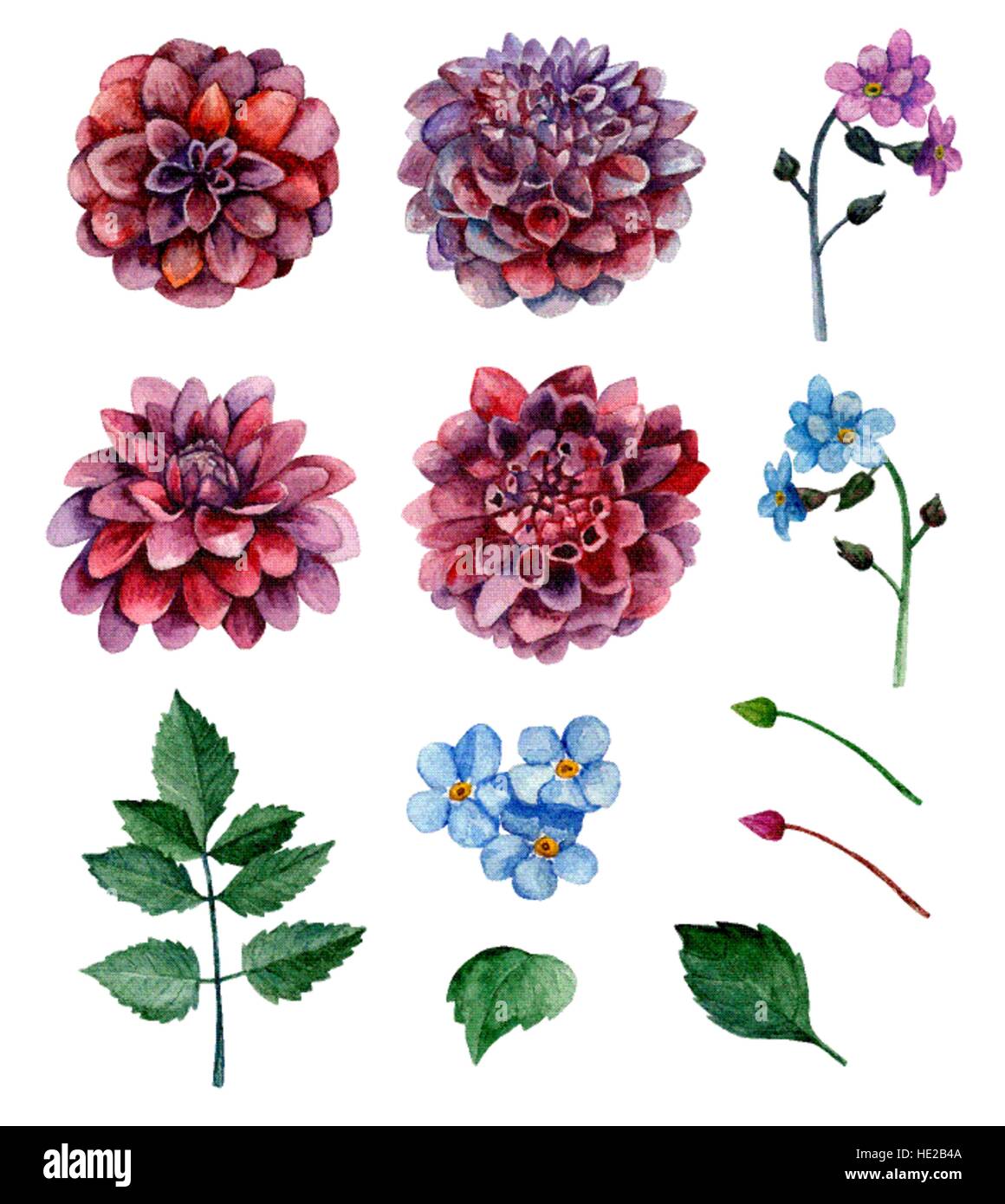 Sfondo fiori acquerello Immagini Vettoriali Stock - Alamy