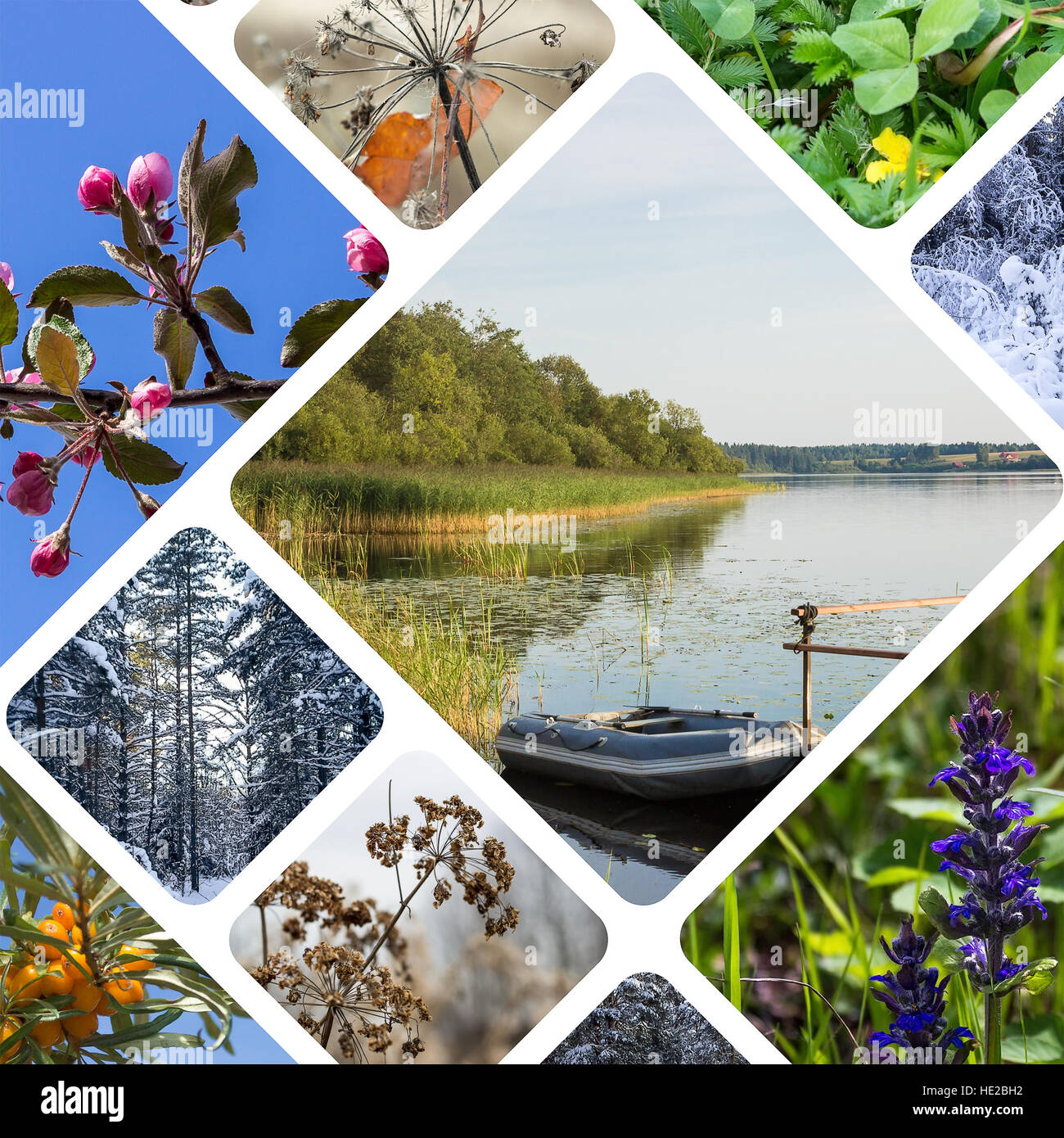 Collage con piante Foto Stock