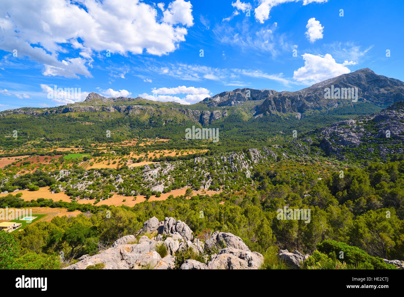 Alte montagne e verdi boschi di Serra de Tramuntana sull isola di Maiorca in Spagna Foto Stock