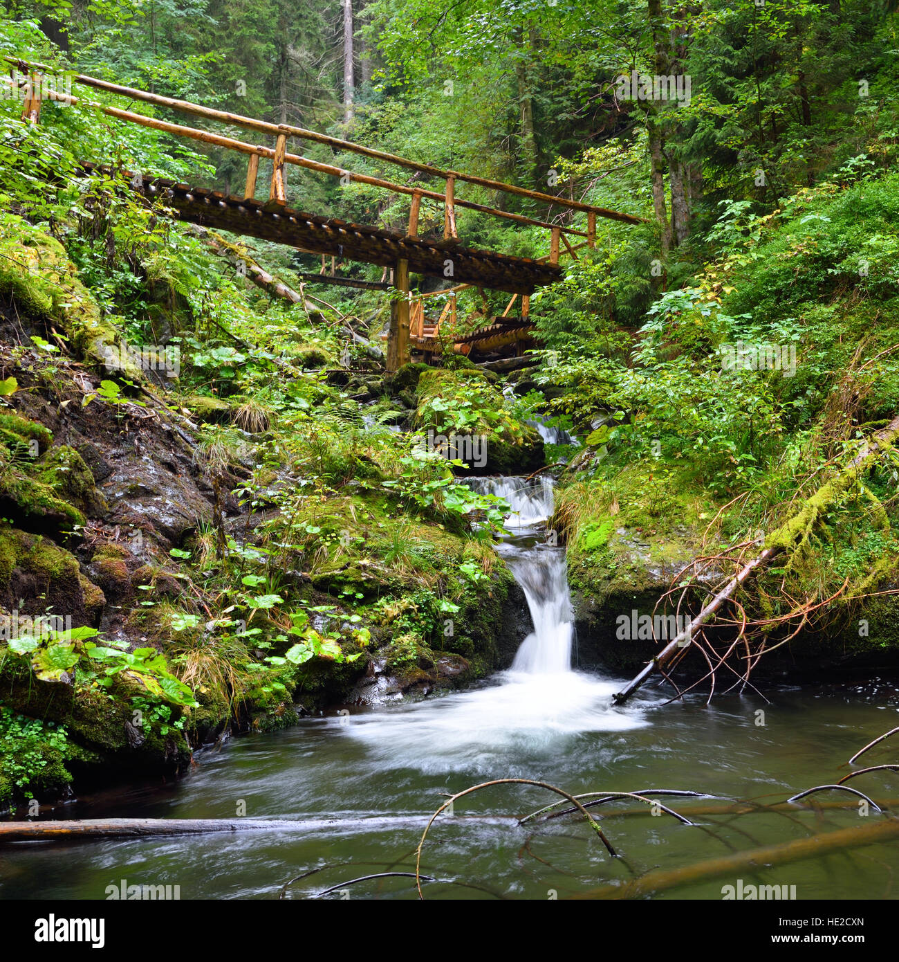 Piccolo ponte in legno che conduce attraverso un torrente di montagna nella valle verde Foto Stock