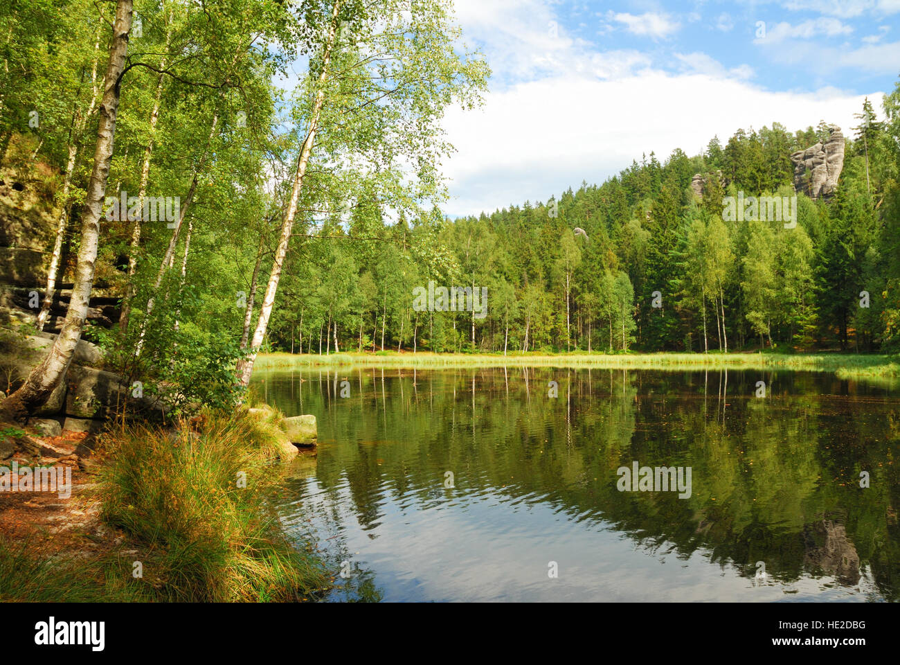Lago nero circondato da verdi alberi forestali Foto Stock