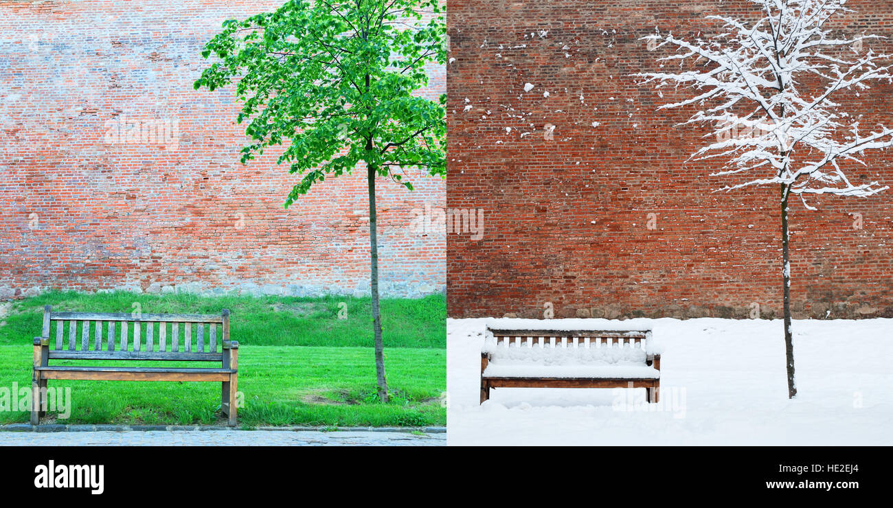 Una panchina nel parco e albero in due stagioni - primavera ed inverno Foto Stock