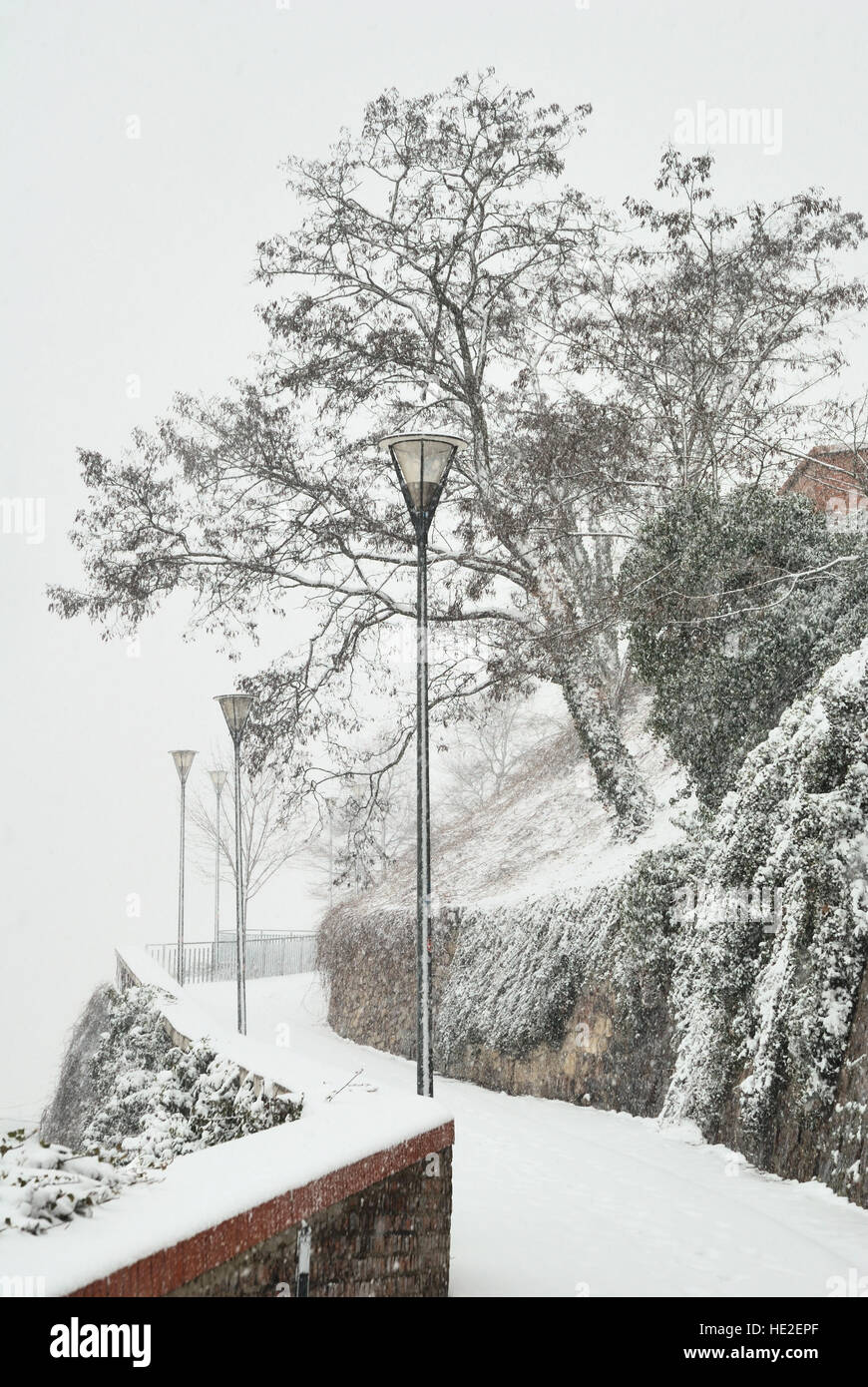 Percorso della città con lampade stradali e albero nella neve Foto Stock