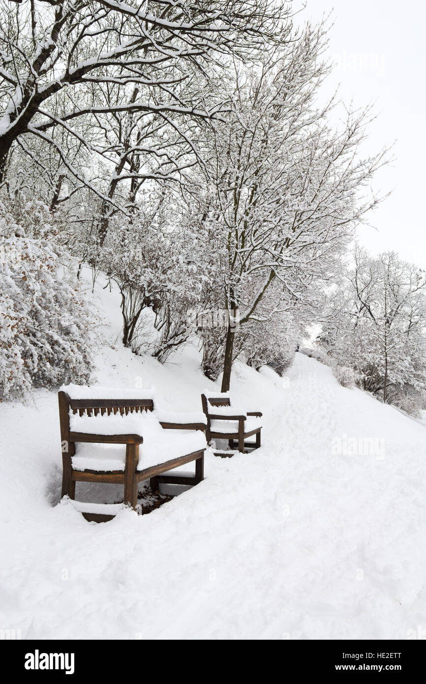 Forest park con panchine coperte di neve pesante Foto Stock