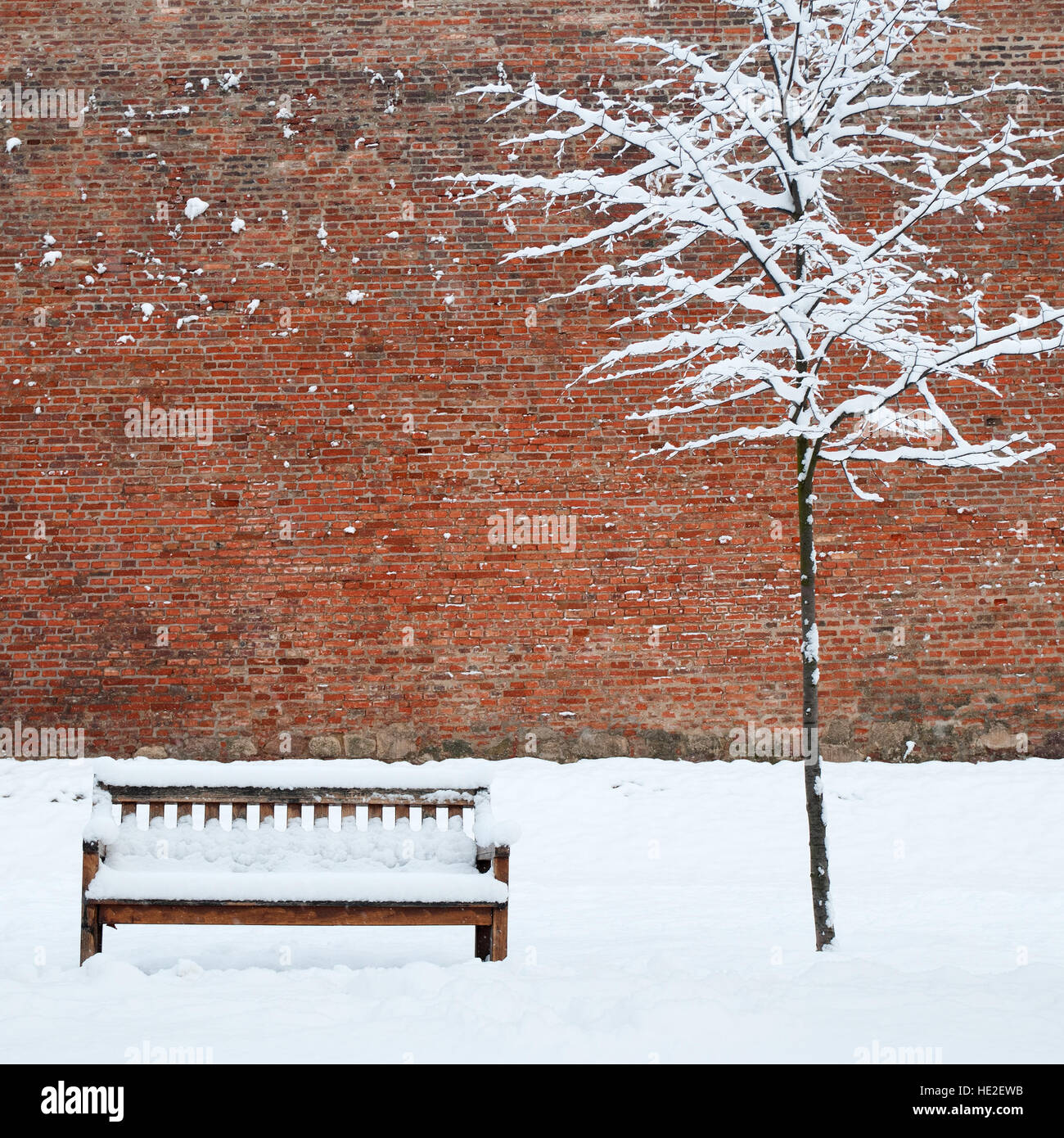 Panca e lonely tree coperte da neve pesante Foto Stock