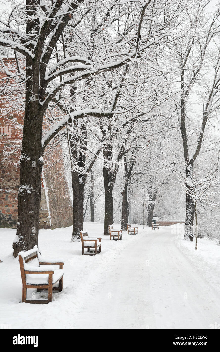 Panchine e alberi coperti di neve pesante Foto Stock