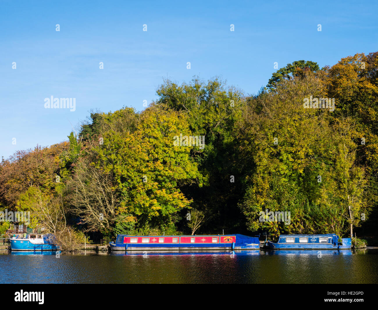 Restringere barca sul fiume Tamigi, Reading, Berkshire, Inghilterra Foto Stock