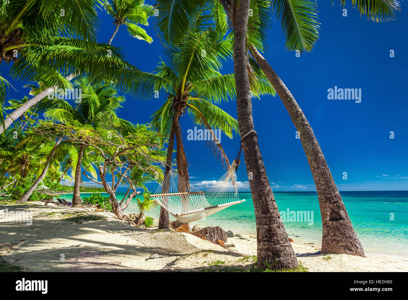 Svuotare amaca all'ombra delle palme sulla vibrante tropicale delle Isole Figi Foto Stock