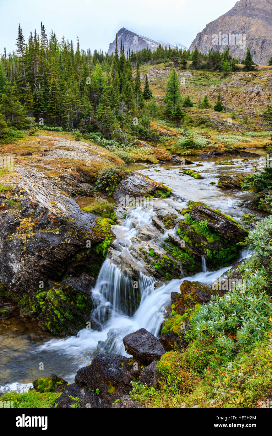 Baker creek cascades da Baker lake su una sporgenza di roccia nella Skoki Wilderness area del Parco Nazionale di Banff Alberta Canada Foto Stock