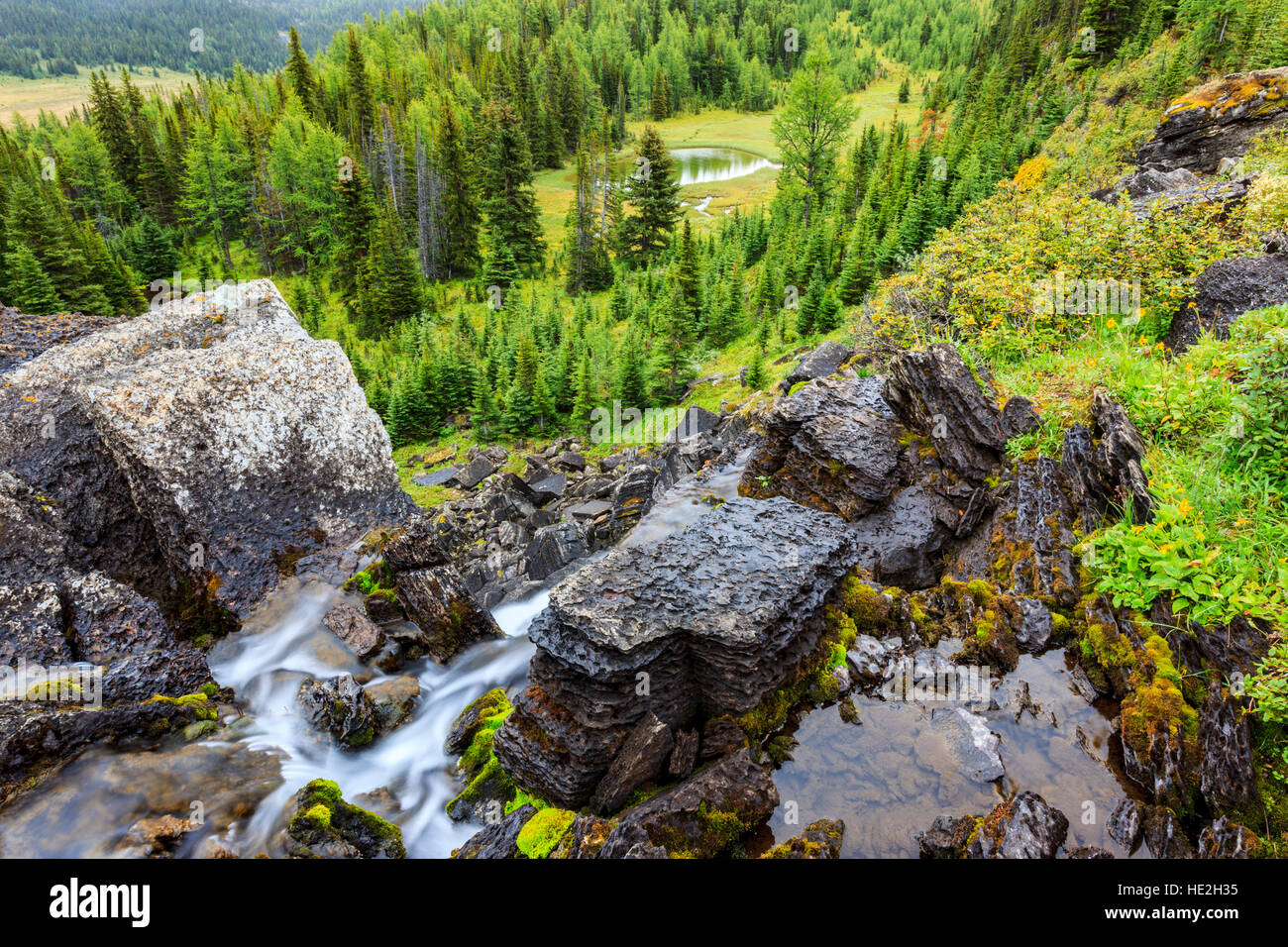 Baker creek cascades da Baker lake su una sporgenza di roccia nella Skoki Wilderness area del Parco Nazionale di Banff Alberta Canada Foto Stock