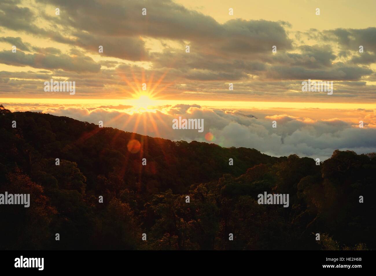 Mattina paesaggio di montagna con onda di nebbia e cielo nuvoloso scuro. Trasognata sunrise sulla cima della montagna con la vista nella valle di nebbia. Doi Inthanon Foto Stock