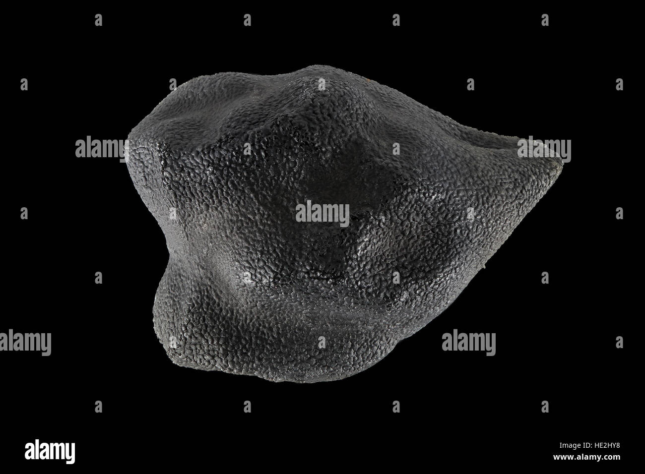 Cicer arietinum, ceci, Kichererbse, sementi, vicino, la dimensione della granella 8-10 mm Foto Stock