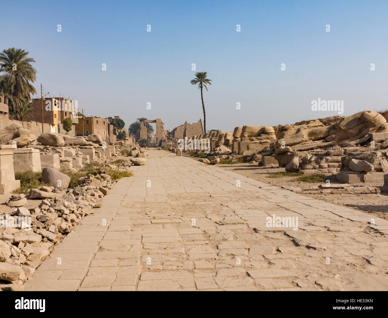 Tutankhamon Avenue di Sphinx che conduce dal decimo pilone del Tempio di Karnak al tempio di Mut a Luxor, Egitto, Nord Africa Foto Stock