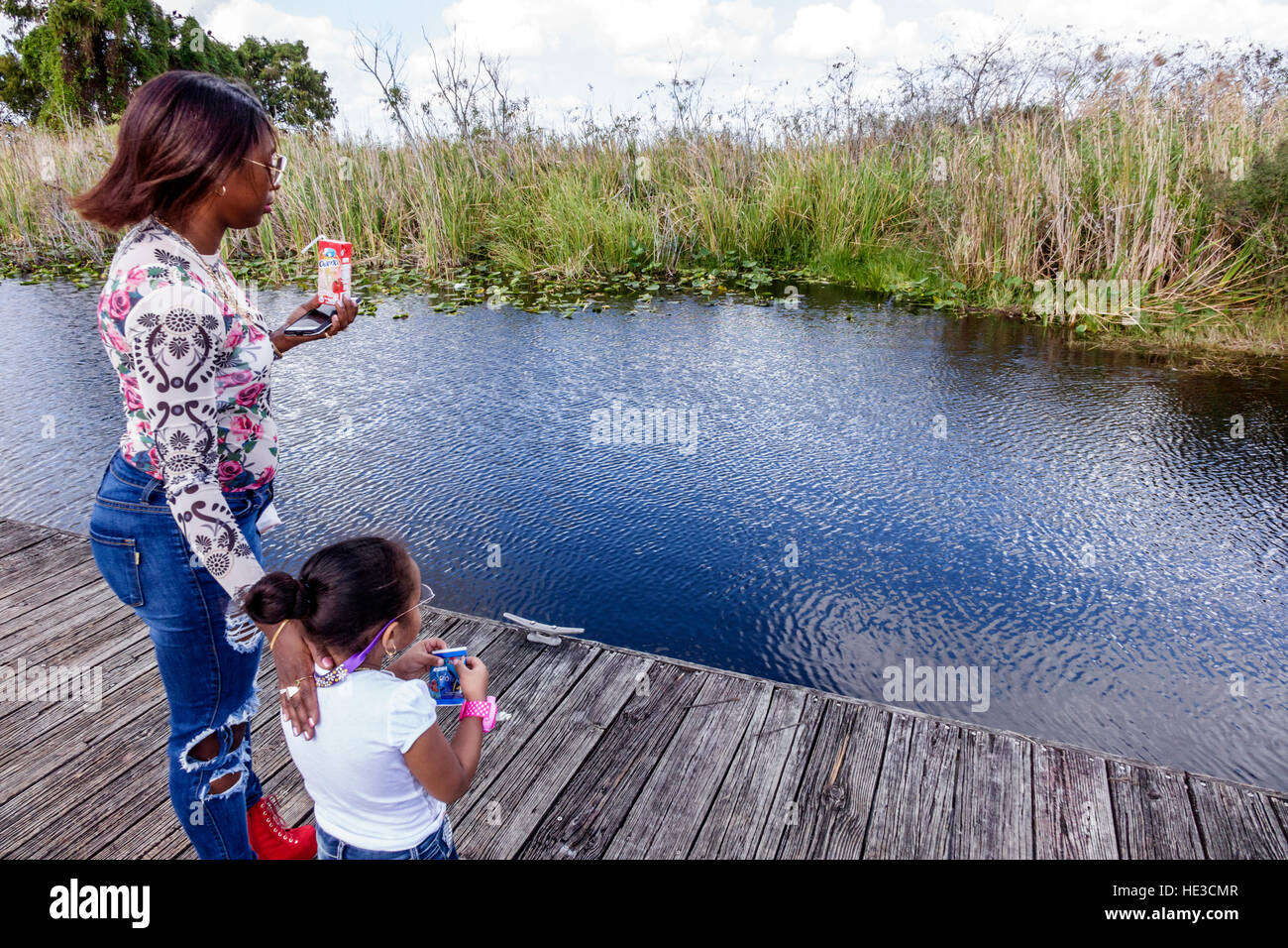 Florida,Sud,Everglades,Alligator Alley,Black Blacks African African African African African,ispanic Latino etnia immigranti minoritari,adulti adulti,donna w Foto Stock