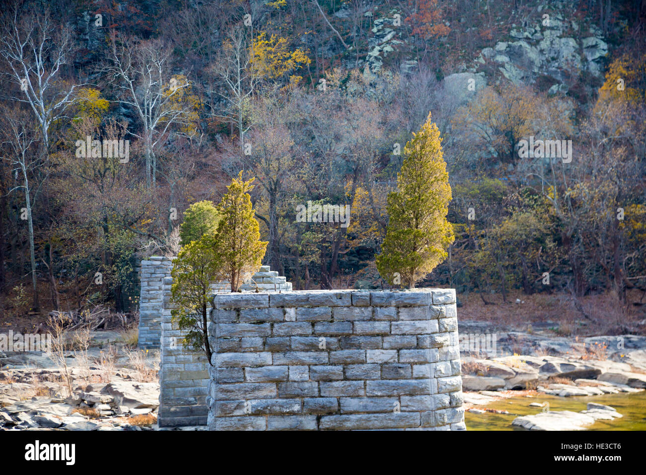 Harpers Ferry, WV - alberi che crescono sul ponte abbandonati supporta oltre il Fiume Shenandoah dove incontra il fiume Potomac. Foto Stock