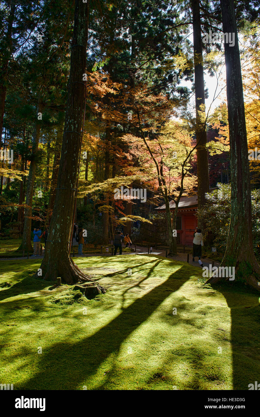 Foglie di autunno a Sanzen-nel tempio, O'hara, prefettura di Kyoto, Giappone Foto Stock