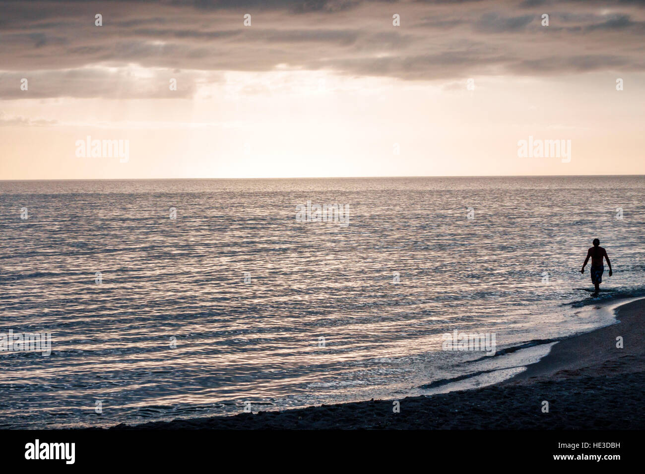 Florida Captiva Barrier Island, Turner Beach, Golfo del Messico, beachcomber, adulti, uomo uomo maschio, silhouette, passeggiate, surf, FL161129273 Foto Stock